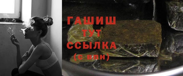 индика Белокуриха