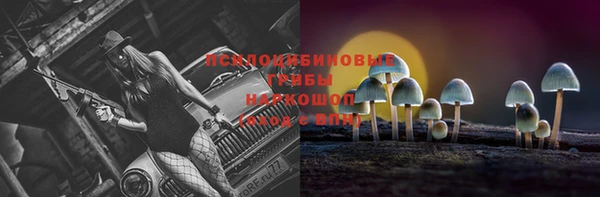 эйфоретик Богородск
