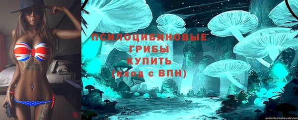 дживик Белоозёрский