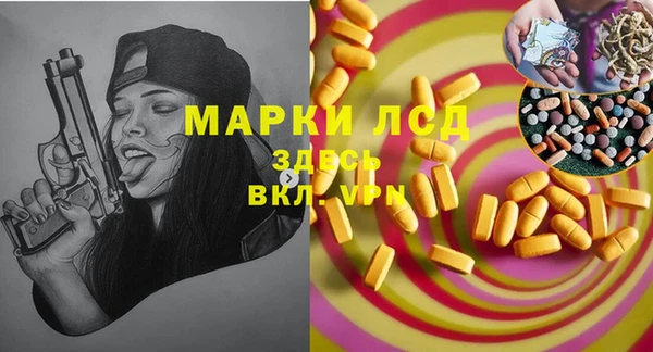 индика Белокуриха