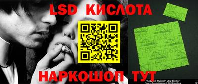 PSILOCYBIN Берёзовский