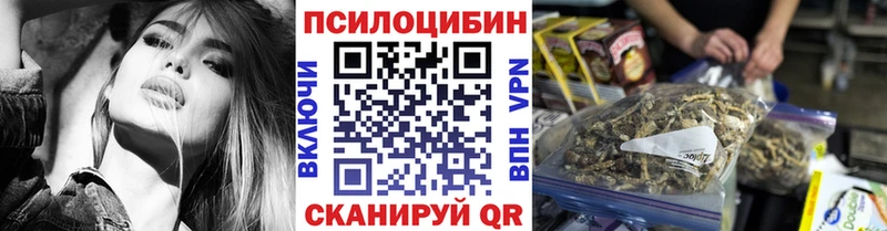 hydra ТОР Воркута Псилоцибиновые грибы мицелий