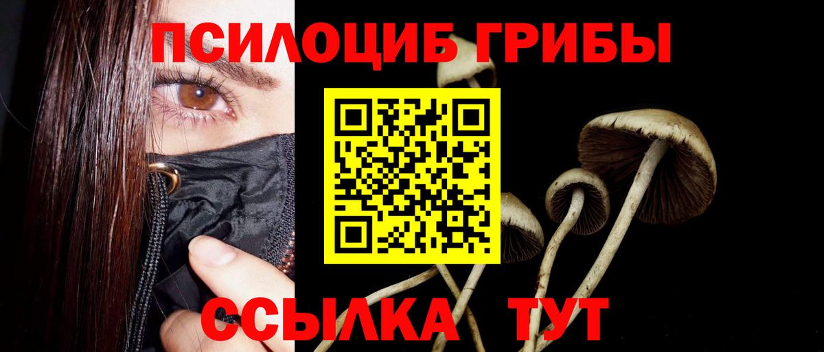 Галлюциногенные грибы MAGIC MUSHROOMS Воркута